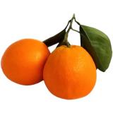 橙
