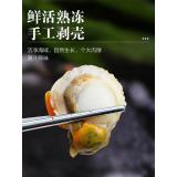 粉丝扇贝